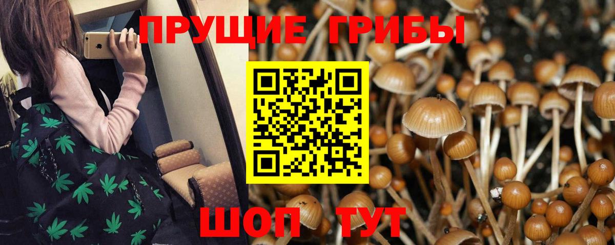 Псилоцибиновые грибы Magic Shrooms Гусь-Хрустальный